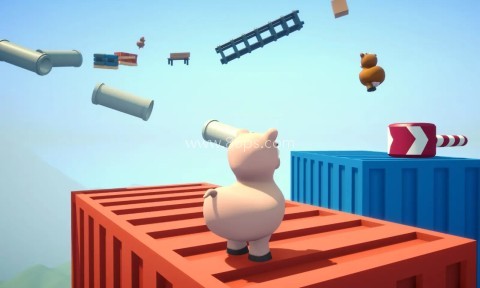 攀爬动物在一起