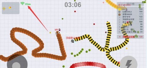 贪玩蛇大作战 第11张图