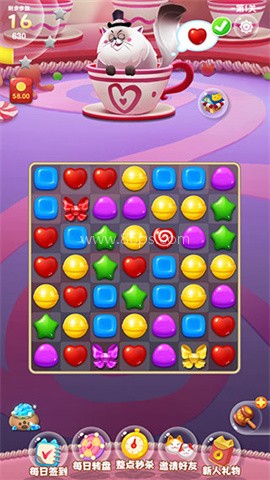 开心糖果猫