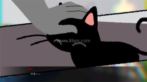 别带这只猫回家