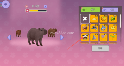 我的水豚小伙伴