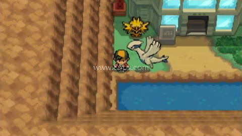 宝可梦银色之羽