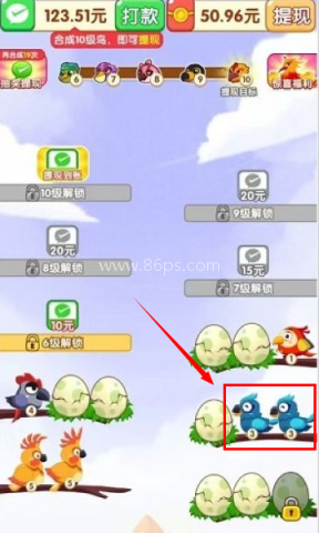 小鸟合不停 第3张图