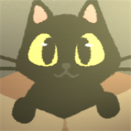 别带这只猫回家