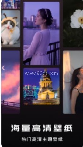 蓝小鸟 蓝小鸟 第2张图