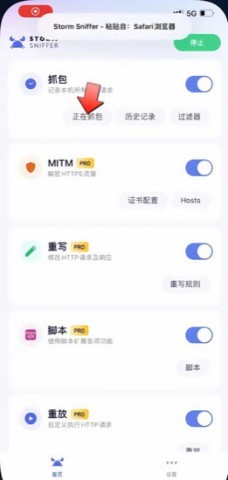 stormsniffer 第3张图