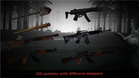 神秘的诅咒树林危险森林