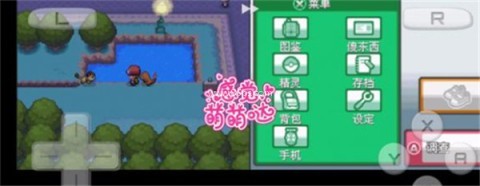 口袋妖怪心金nds