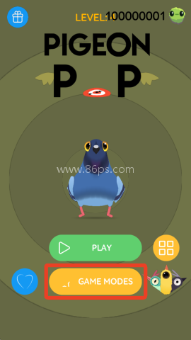 乱啄的鸽子 第3张图