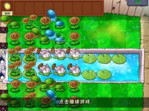 植物大战僵尸金坷垃版