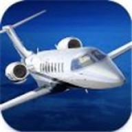 全球飞行模拟器（Aerofly FS Global）