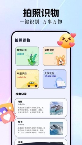 极速cn画质