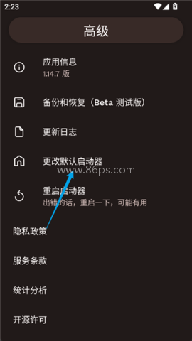 Niagara Launcher 第14张图