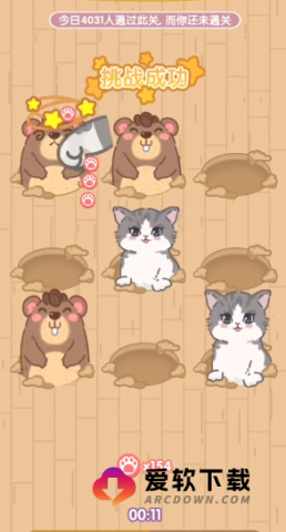 猫猫狗狗一起玩