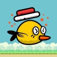 傻鸟飞行