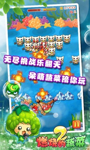 燃烧的蔬菜2正版