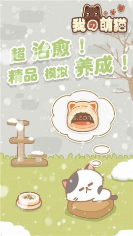 我的萌猫
