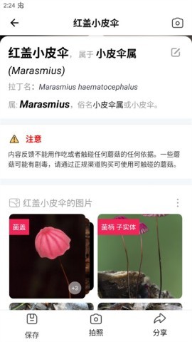 蘑菇识别扫一扫 第3张图