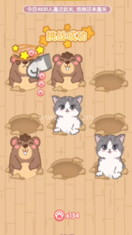 猫猫狗狗一起玩 第1张图
