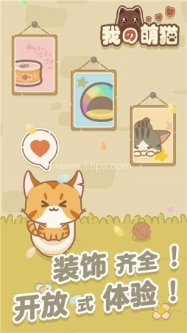 我的萌猫 我的萌猫