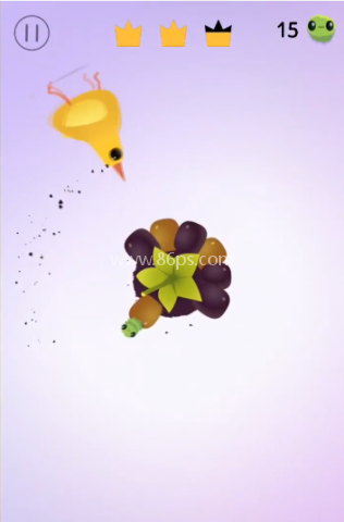 pigeon疯狂的鸽子 第11张图