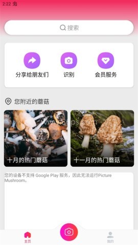 蘑菇识别扫一扫 第1张图