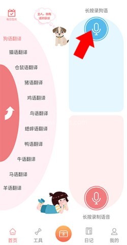 动物语言翻译器 第3张图