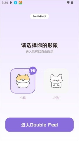 DoubleFeel 第2张图
