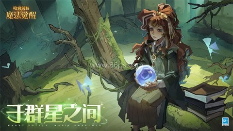 哈利波特魔法觉醒小米渠道服