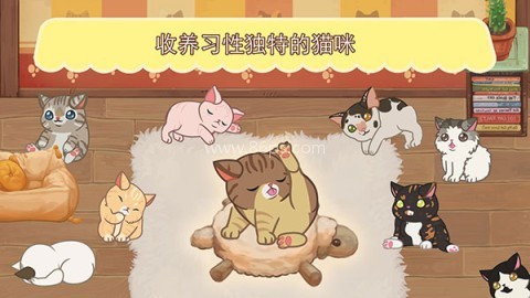 绒毛猫咪咖啡厅