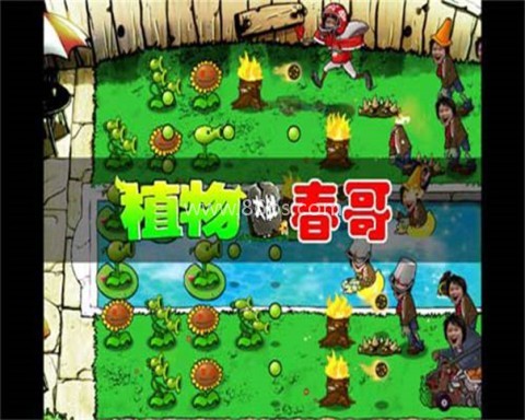 植物大战僵尸春哥版