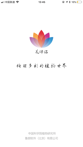 花伴侣植物识别