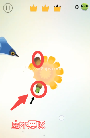 pigeon疯狂的鸽子 第2张图