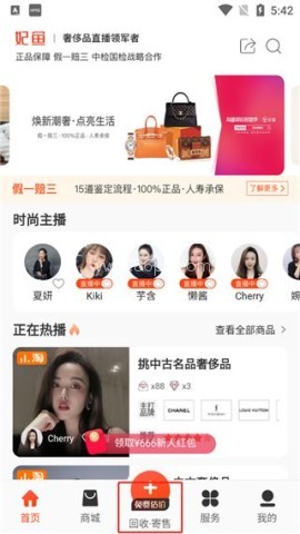 妃鱼 第1张图