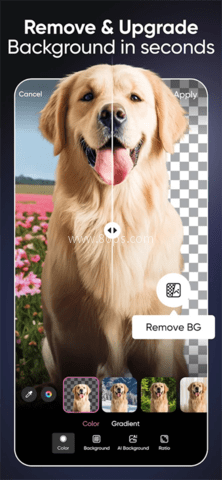 美易picsart 第1张图