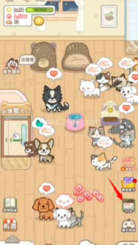 猫猫狗狗一起玩 第2张图