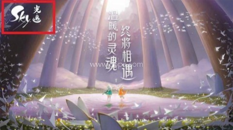 光遇国际服正版 第2张图