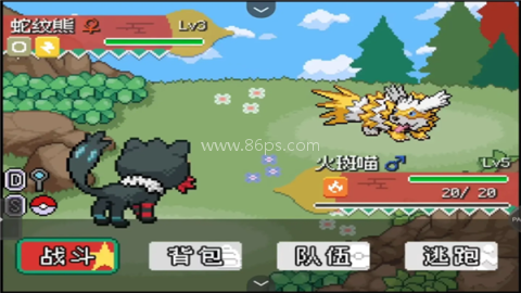 宝可梦轴芯