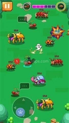 昆虫法则 第1张图