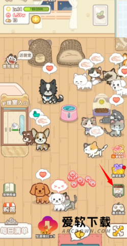 猫猫狗狗一起玩