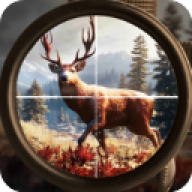 狩猎冲突（Hunting Clash）