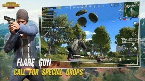 呆呆国体一体化修改器 第1张图