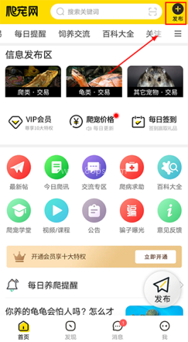 爬宠网 第1张图