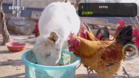 橙子tv电视版