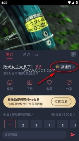 clicli动漫官方正版无广告 clicli动漫纯净版 第3张图