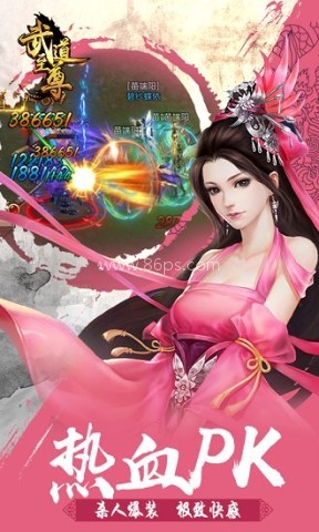 武道至尊h5