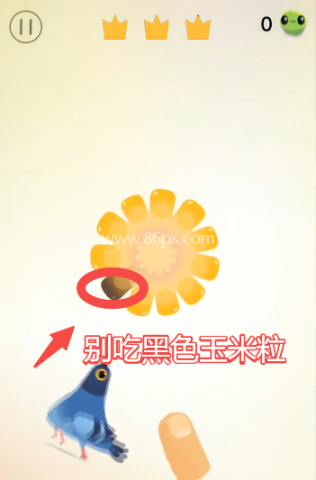 pigeon疯狂的鸽子 第1张图
