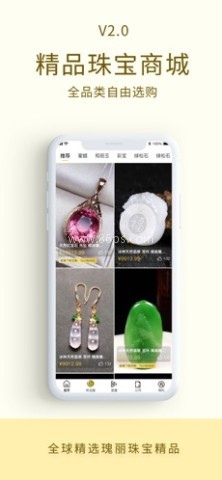 珠宝猫 第2张图