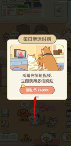 猫猫狗狗一起玩