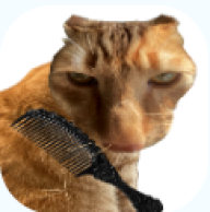 给猫梳毛游戏